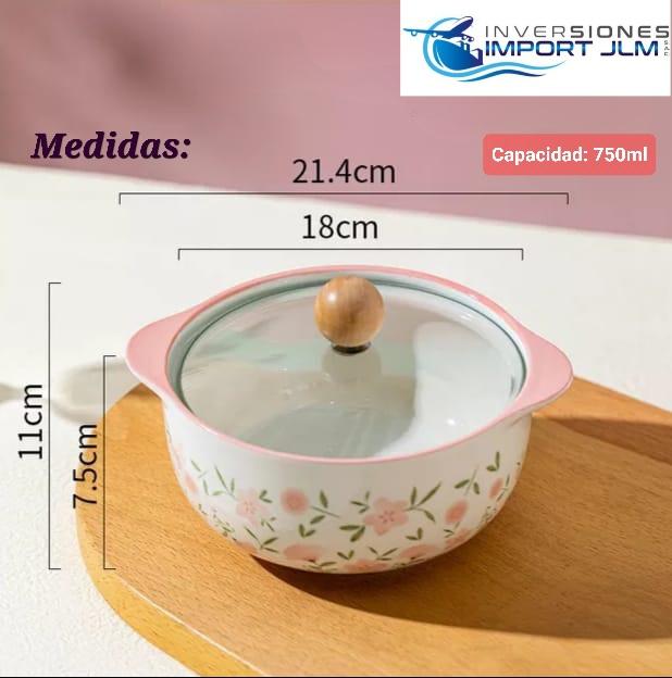 Olla de Loza con Tapa